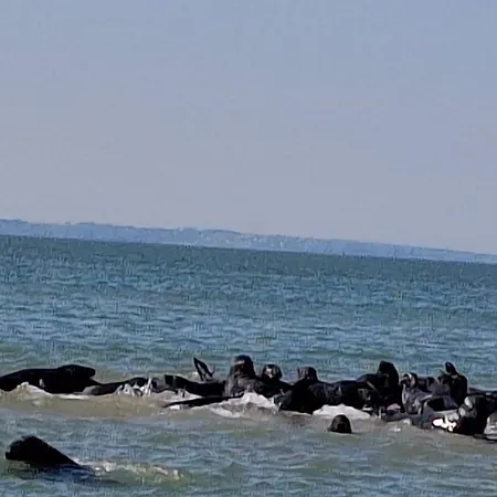 La Picarde Le Crotoy